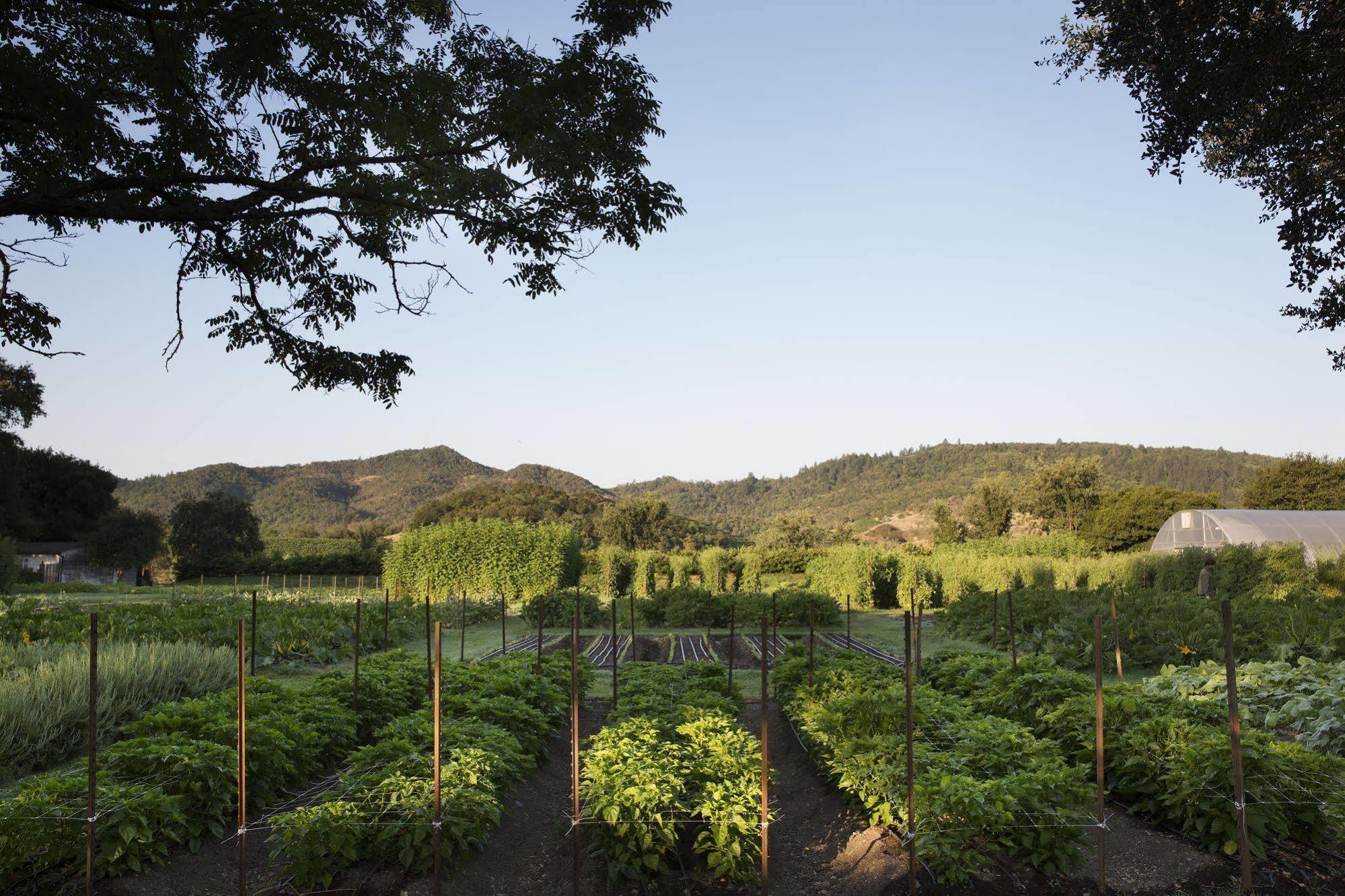 Napa Valley Lodge Yountville Exterior foto